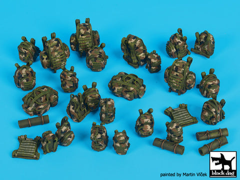 ブラックドッグ T35173 1/35 現用フランス アクセサリーセット