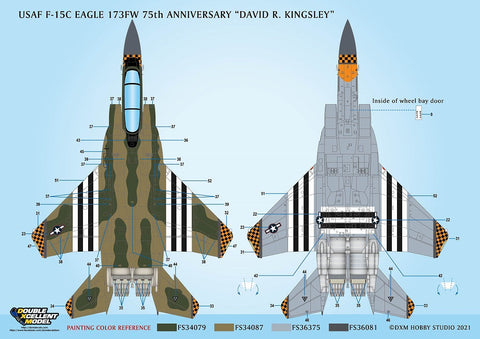 DXM 11-7141 1/72 アメリカ空軍 F-15C 第173戦闘航空団 75周年 "デビッド・リチャード・キングスリー" カルトグラフ製デカール