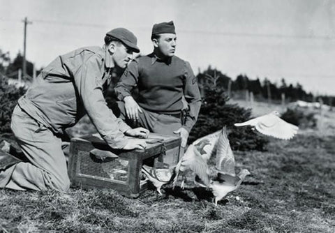 ハウラー HLU35031 1/35 WWII アメリカ 軍用伝書鳩とケージ