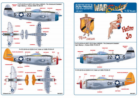 キッツワールド KW132071 1/32 P-47D サンダーボルト バブルトップ