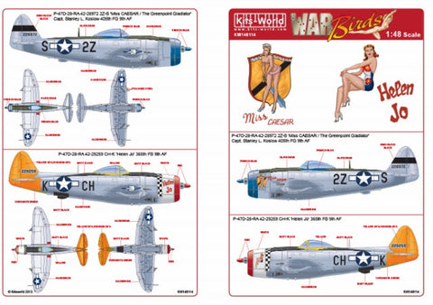 キッツワールド KW148114 1/48 P-47D サンダーボルト バブルトップ デカールシート