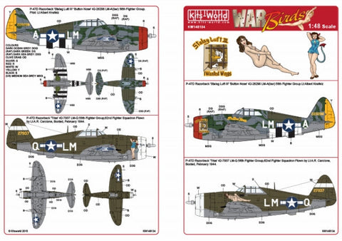 キッツワールド KW148134 1/48 P-47 サンダーボルト